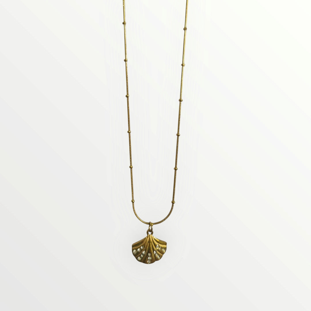 Beachy Shell Necklace